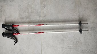 Lyžařské hůlky - 2