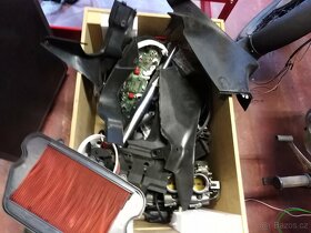 cbr 1100 blackbird dily - 2