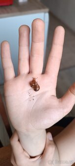 Africký šnek 🐌 - 2