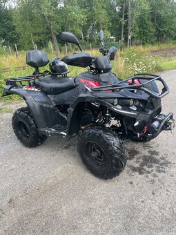 Linhai 200 2x4 t3b - 2