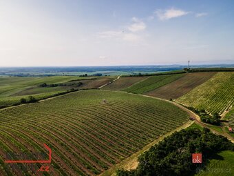 Prodej, pozemky/vinice/sady, 256256 m2, Zaječí, Břeclav [ID  - 2