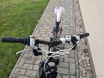 Dětské kolo 24 Superior Paint 24 - 2