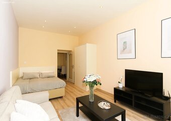 Pronájem bytu 1+1 40 m² Máchova, Praha - Vinohrady - 2