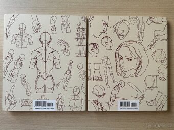 TACO - Point Character Drawing - Kreslení Manga postav - 2