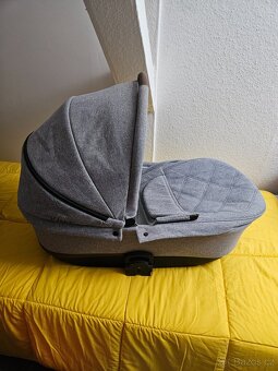 Kočárek Dorjan - 2