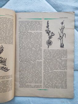 Zázračná medicína z pytlíku starých bylinkářek - 2