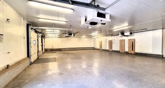 Pronájem, komerční prostor 4500 m2, Černožice nad Labem, Krá - 2