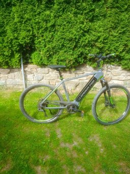 Leader Fox Exeter gent - 2