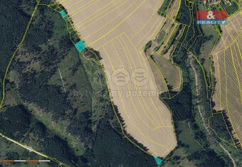 Prodej lesa, 11459 m², Nýrov - 2