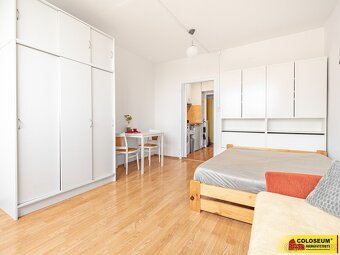 Brno - Řečkovice - pronájem bytu 1+kk, 28 m2, vybavený, skle - 2
