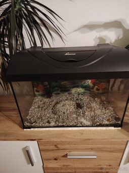 Akvárium diversa 30 l - 2
