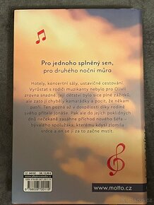 Dívka v zrcadle - 2