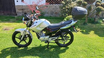 Yamaha YBR 125 - 2