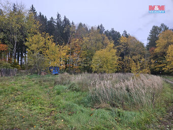 Prodej louky, 922 m², Hynčina - 2