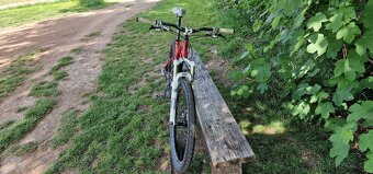 Specialized Stumpjumperer - 2