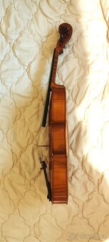 Viola 41 s pouzdrem - 2