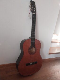 Hudební nástroj _ kytara - 2