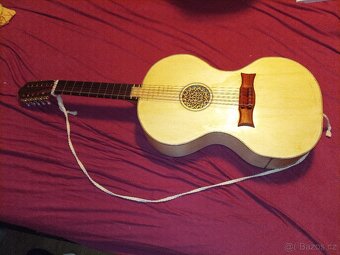 netradiční desetistrunná kytara - 2