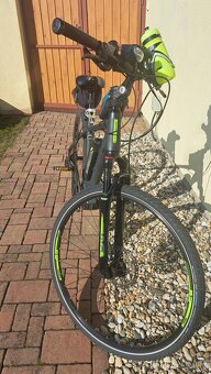 Leader Fox Bend pánský - 2