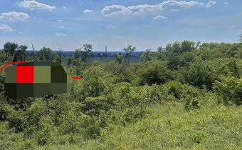 Zahrada,sad,louka.. - 2