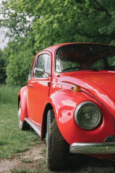 Volkswagen Brouk 1973 - 2