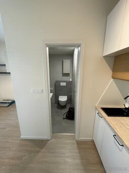 Pronájem bytu 1KK (25,5m2) - Smetanova, Zlín - 2