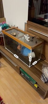 Terarium - 2