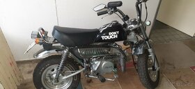 Honda Monkey 125 ccm - 2