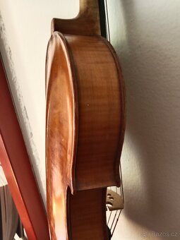 Viola - 2