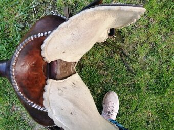 SEDLO NA OSLA/MULU - 2