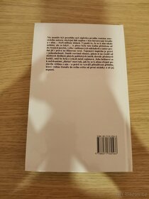 Jednoduchý plán - Scott Smith - 2