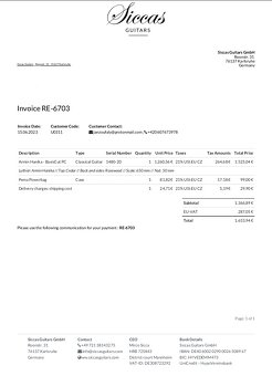 Armin Hanika - Kytara - ruční výroba - 2