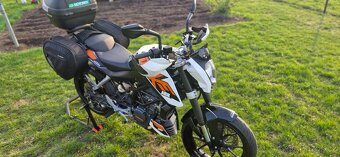 KTM 125 DUKE 2014 - 2