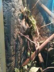 Nové kompletně vybavené terárium 120x60x60cm - 2