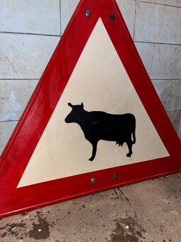 Cedule „Pozor, krávy“ - 2