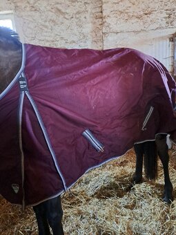 Mnoho věcí na kone - 2