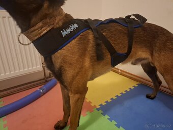 ManMat - Postroj Merhi long - 2