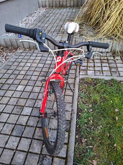 Dětské kolo Superior Paint 20 - 2