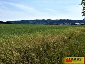 Letovice - zemědělská půda 7 225 m2 - pozemek - 2