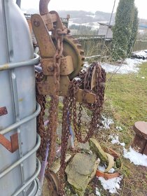 Vrátek řetězový - 2