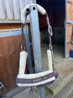 Eskadron ohlávka - 2