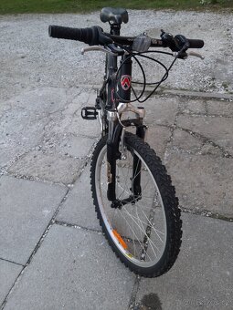 Kolo Arcor 24" - 2