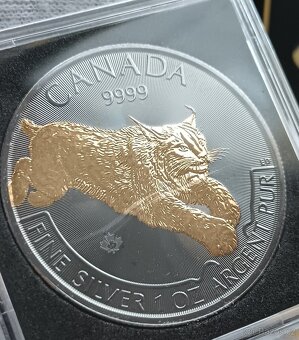 Luxusní 1oz 31,1g čistého stříbra Limitovaná edice Zlaceno - 2