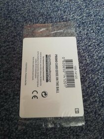 Pokémon TCG Eevee on the Ball Futsal Sealed Promo - 2