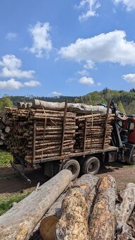 Měkké palivové dřevo v kládkách – SMRK – Doprava zdarma
- 2