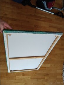 Obraz na plátně - 2