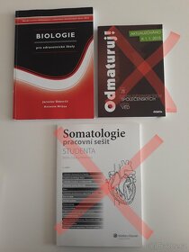 Literatura pro 1. ročník středních škol - pracovní sešit - 2