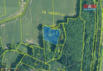 Prodej lesa, 20093 m², Skály - 2
