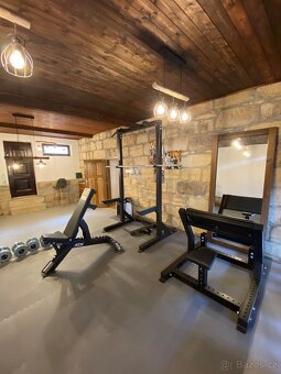 Robustní půlklec Half rack + adaptér na dipy - 2