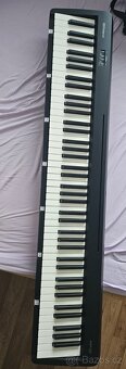 Roland FP-10 - 2